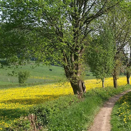 Buitenplaats De Mechelerhof