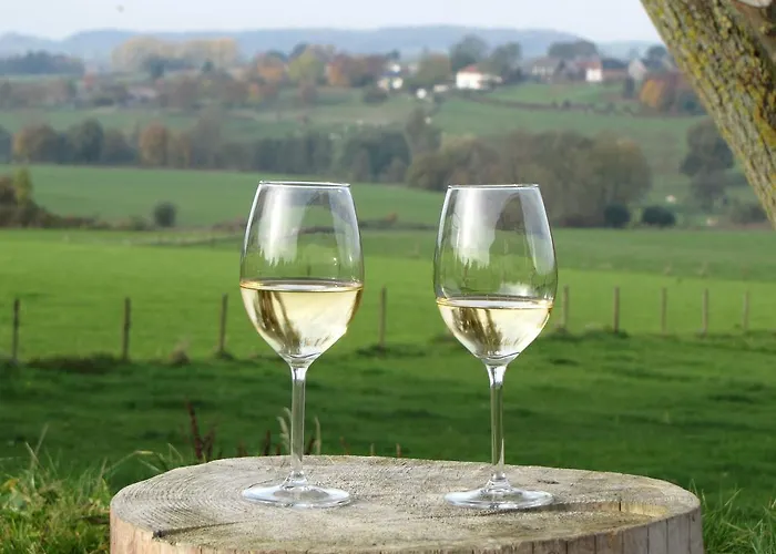 Buitenplaats De Mechelerhof 펜션