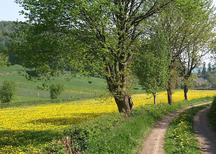 Buitenplaats De Mechelerhof