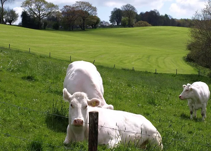Vakantiehuis Buitenplaats De Mechelerhof Mechelen