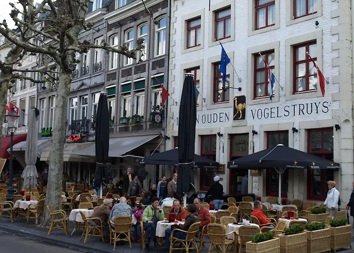 펜션 Buitenplaats De Mechelerhof